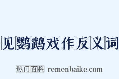 见鹦鹉戏作反义词是什么意思的图片